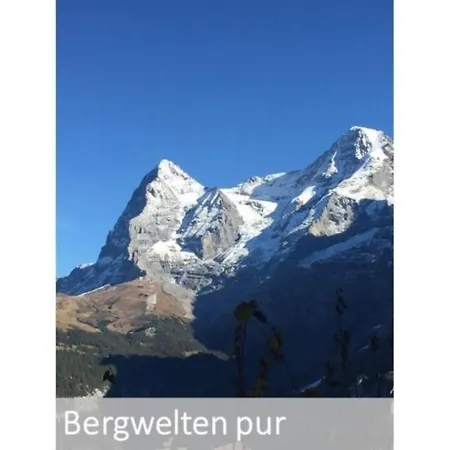 Panorama 2 Bett